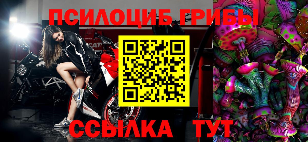 Крымск  Псилоцибиновые грибы MAGIC MUSHROOMS  Вход с VPN 